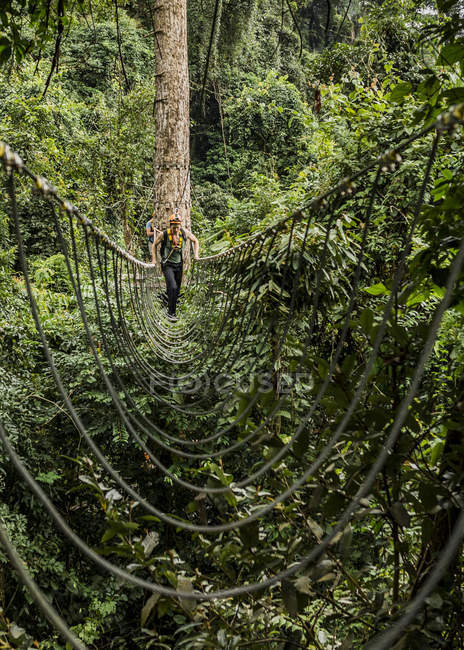 Hombre cruzando puente de cuerda en el bosque, Ban Nongluang, provincia de Champassak, Paksong, Laos - foto de stock
