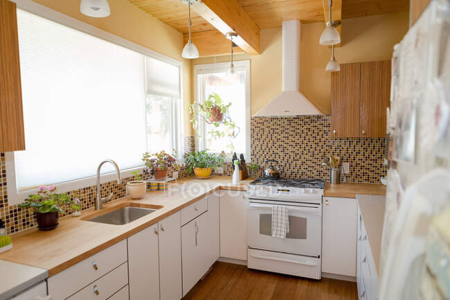 Cozinha limpa com produtos de limpeza verde — Fotografia de Stock