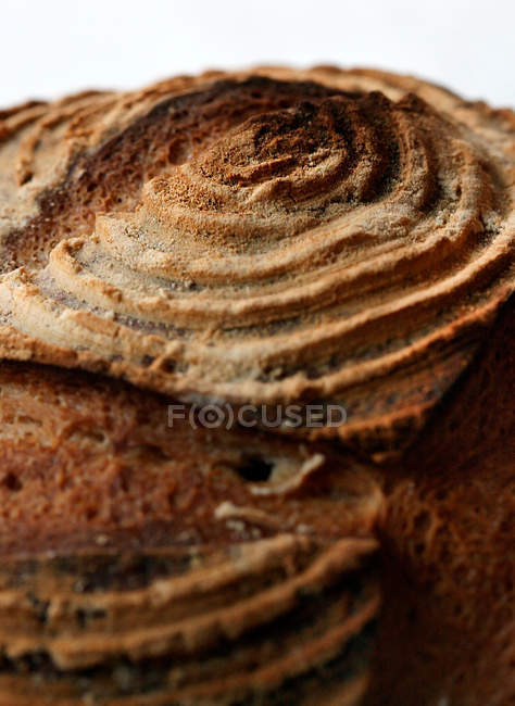 Close up shot of fresh baked bread loaf — Stock Photo