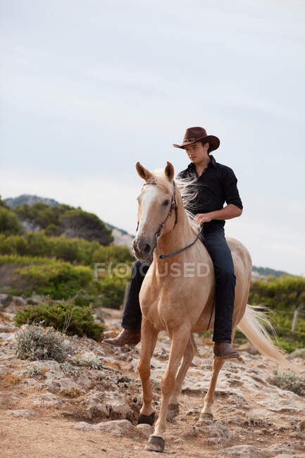 Homem montando cavalo no prado — Fotografia de Stock