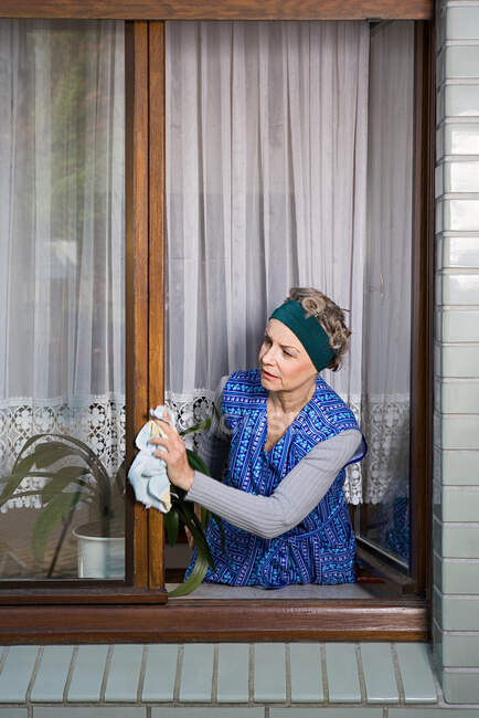 Mulher espanando caixilhos das janelas — Fotografia de Stock