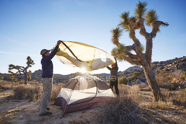 Ein Paar schlägt sein Zelt auf, während es im Joshua Tree Nationalpark im Hinterland campt. — Stockfoto