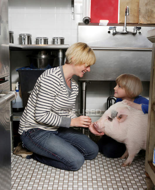 Madre e hija sentadas en cocina acariciando cerdo mascota - foto de stock