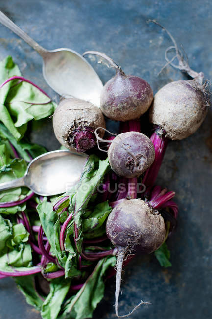 Bunch of homegrown beetroots on table — Stock Photo