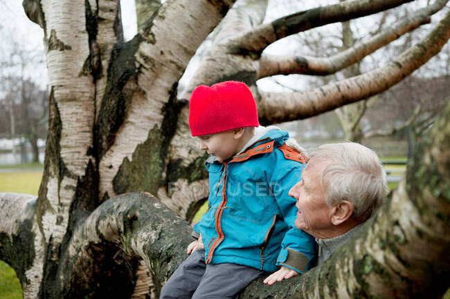 Abuelo y niño sentado en la rama del árbol - foto de stock