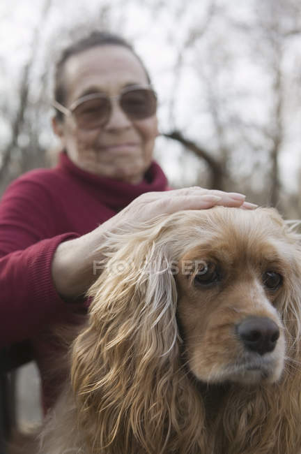 Senior mujer acariciando perro - foto de stock