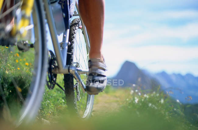 Primer plano de un pie ciclista y rueda de bicicleta - foto de stock