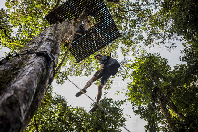 Hombre colgando de la plataforma de tirolina en el árbol, Ban Nongluang, provincia de Champassak, Paksong, Laos - foto de stock
