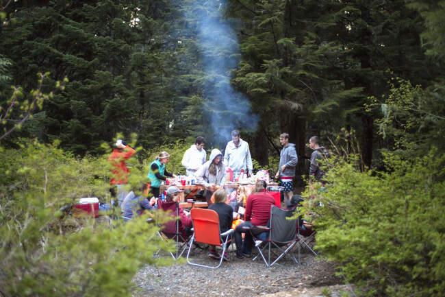 Група друзів, які мають пікнік у лісі — стокове фото