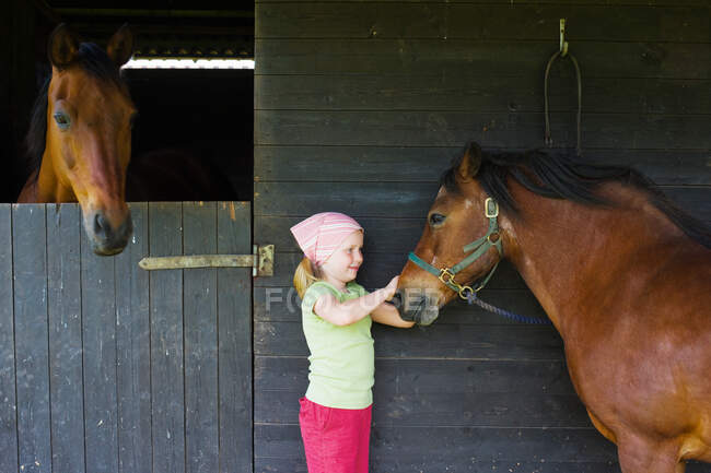 Una ragazza che accarezza un cavallo — Foto stock