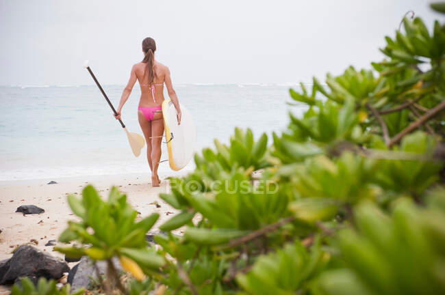 Surfista llevando tabla de surf en la playa - foto de stock
