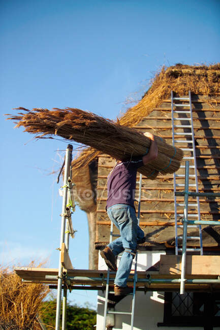 Thatcher at work on roof — Stock Photo