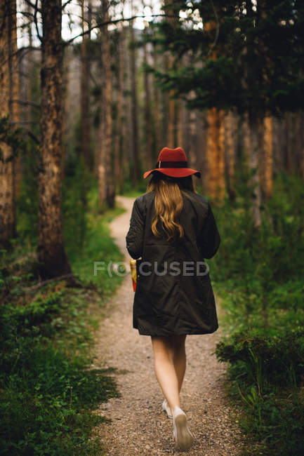 Visão traseira da mulher andando na floresta, Rocky Mountain National Park, Colorado, EUA — Fotografia de Stock