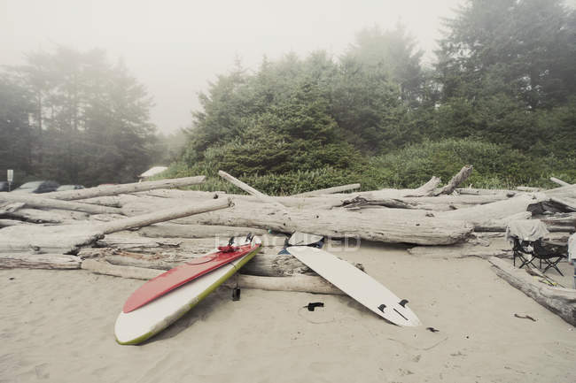 Tavole da surf sulla spiaggia nebbiosa — Foto stock