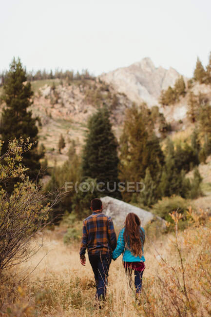 Joven pareja caminando a través del campo, vista trasera, Rey Mineral, Parque Nacional Sequoia, California, Estados Unidos. - foto de stock