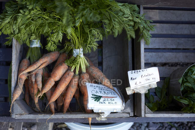 Zanahorias de cosecha propia en venta, primer plano, Cork, Irlanda - foto de stock