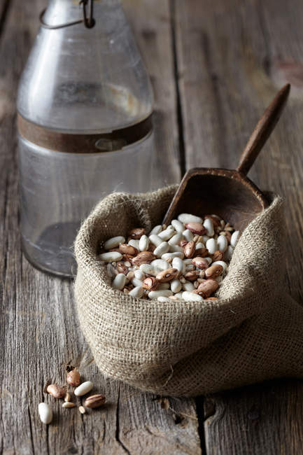 Dried beans in sack — Stock Photo