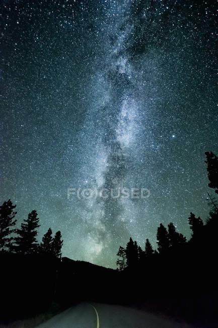 Route forestière et voie lactée la nuit, Penticton, Colombie-Britannique, Canada — Photo de stock
