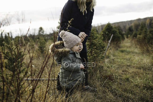 Madre e bambina nella fattoria degli alberi di Natale, Cobourg, Ontario, Canada — Foto stock
