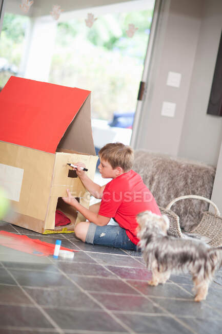 Boy building kennel for his dog — Stock Photo