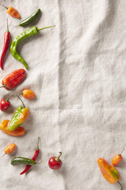 Summer chilli peppers on ivory linen surface — Stock Photo
