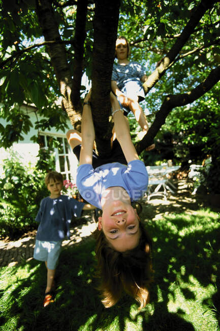 Enfants jouant dans l'arbre — Photo de stock