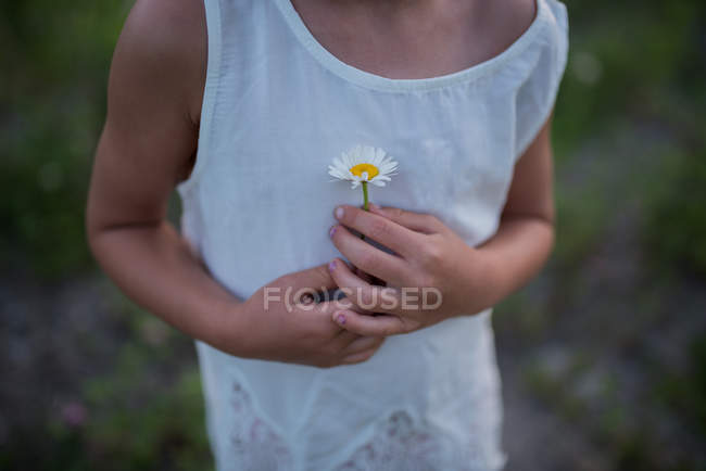 Image recadrée de petite fille tenant fleur contre la poitrine — Photo de stock
