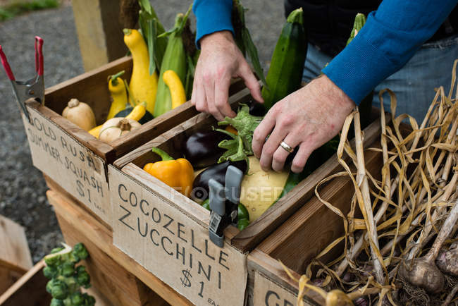 Imagem cortada do homem preparando frutas e legumes na loja de fazenda orgânica — Fotografia de Stock