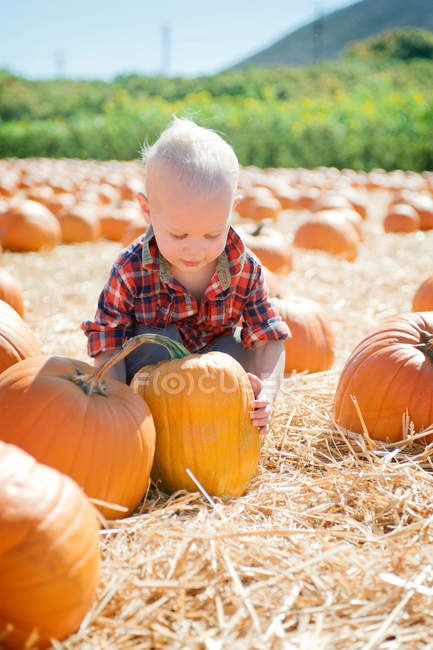 Male toddler lifting with pumpkins — Stock Photo