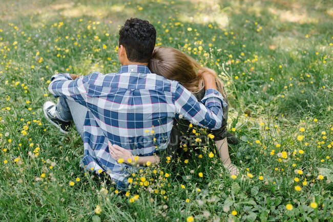 Vista posteriore della coppia seduta sull'erba che abbraccia — Foto stock
