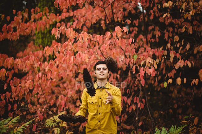 Young man in rural setting, juggling pine cones — Stock Photo