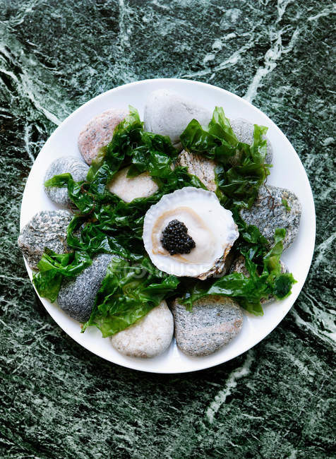 Assiette de caviar et d'huître — Photo de stock
