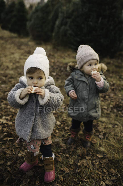 Baby girls eating bread in forest — Stock Photo