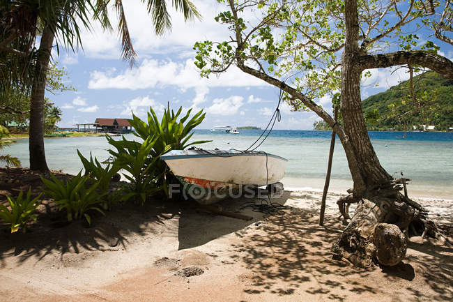 Лодка пришвартована на пляже — стоковое фото