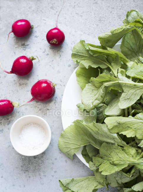 Top view of radishes and plate of radish leaves — Stock Photo