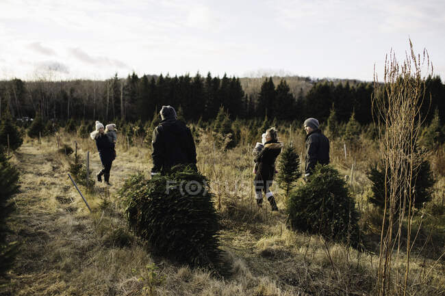Genitori e bambine nella fattoria dell'albero di Natale, Cobourg, Ontario, Canada — Foto stock