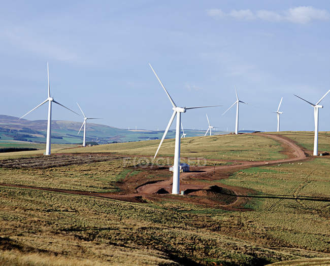 Вітрові турбіни на зелених пагорбах з блакитним хмарним небом — стокове фото