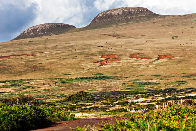 View of Terevaka volcano — Stock Photo