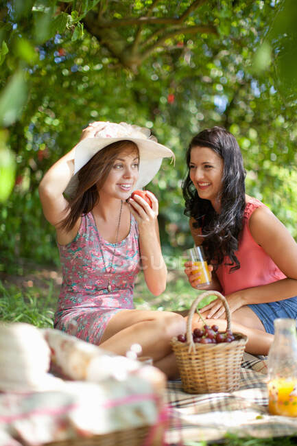 Women picnicking together in park — Stock Photo