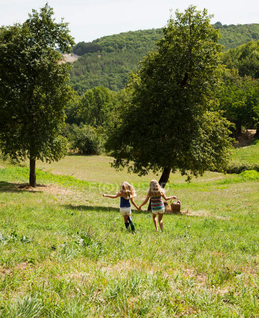 Две девушки держатся за руки в поле — стоковое фото