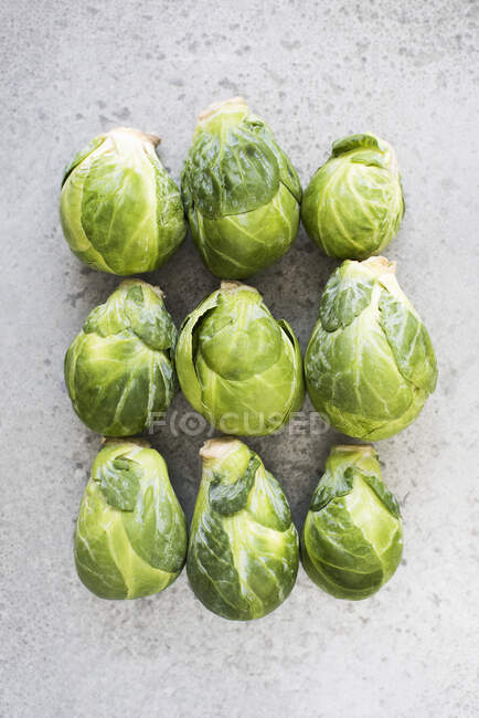 Brussel sprouts in rows, close-up — Stock Photo