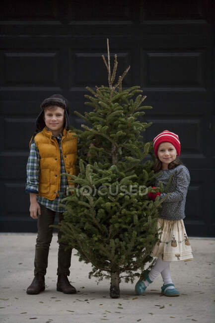 Девочка и мальчик с рождественской ёлкой — стоковое фото