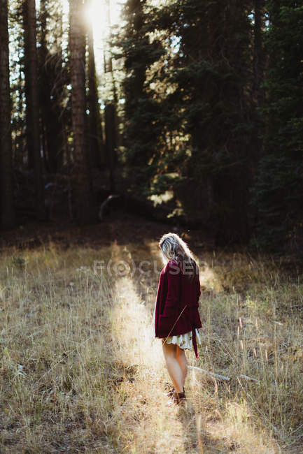 Schwangere Frau wandert durch Wälder, Mammutbaum-Nationalpark, Kalifornien, USA — Stockfoto