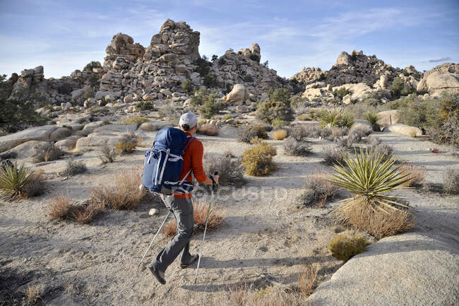 Backpacker hikes with trekking poles in Joshua Tree National Park in the Mojave Desert of Southern California November 2012. — Stock Photo
