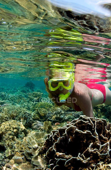 Сноркелер на коралловом рифе. — стоковое фото