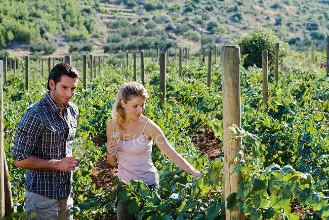 Couple looking at vineyard — Stock Photo