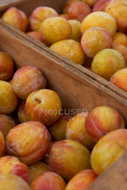 Caisses de prunes mûres — Photo de stock