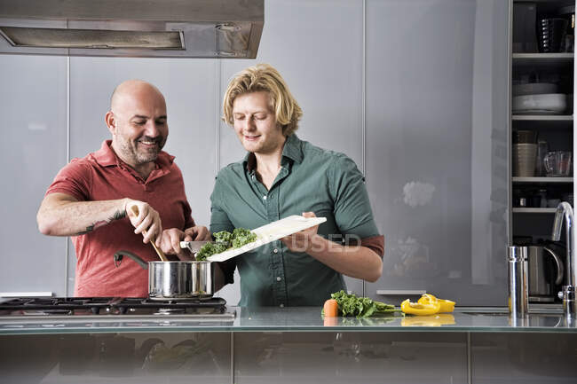 Мужская пара готовит еду вместе на кухне — стоковое фото