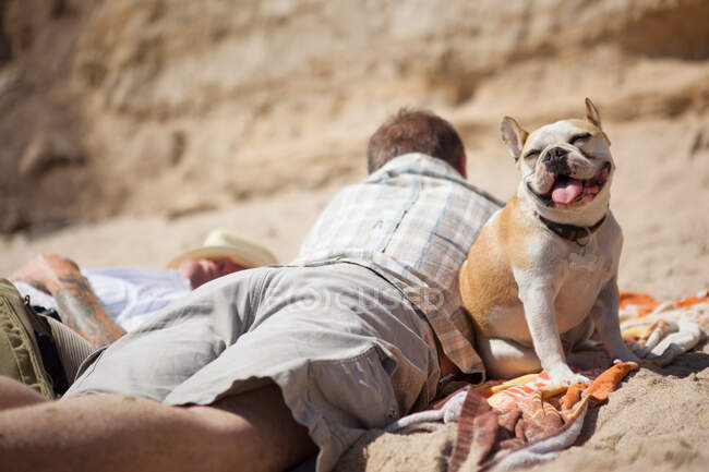 Uomini che si rilassano con cane sulla spiaggia — Foto stock