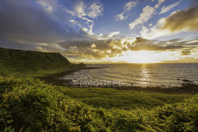 Green coastline with sunset cloudy sky — Stock Photo